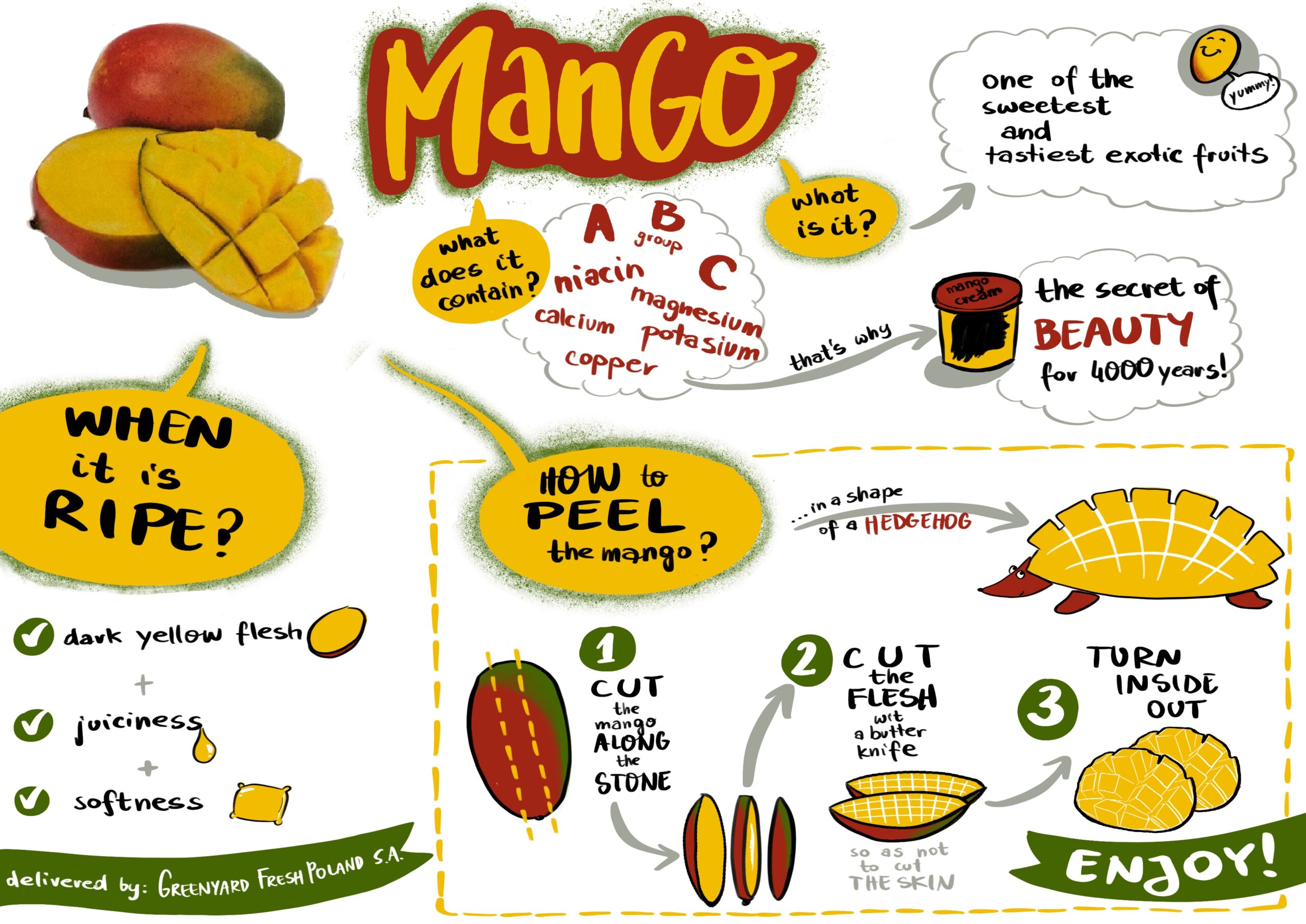 Infographic For Greenyard Fresh Poland Explain Visually