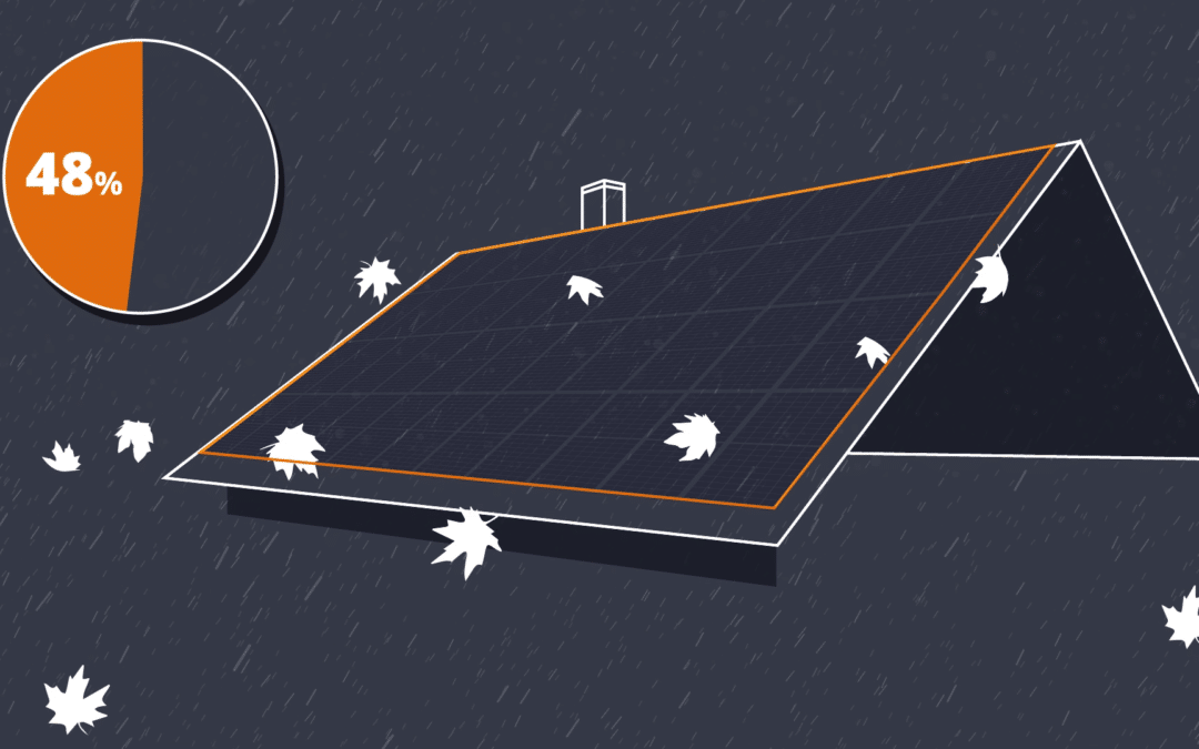 Jak pomogliśmy Winaico oszczędzić czas handlowców za pomocą animacji