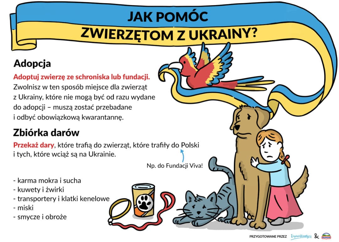 flaga ukrainy; dziewczynka przytulająca psa, kot, papuga