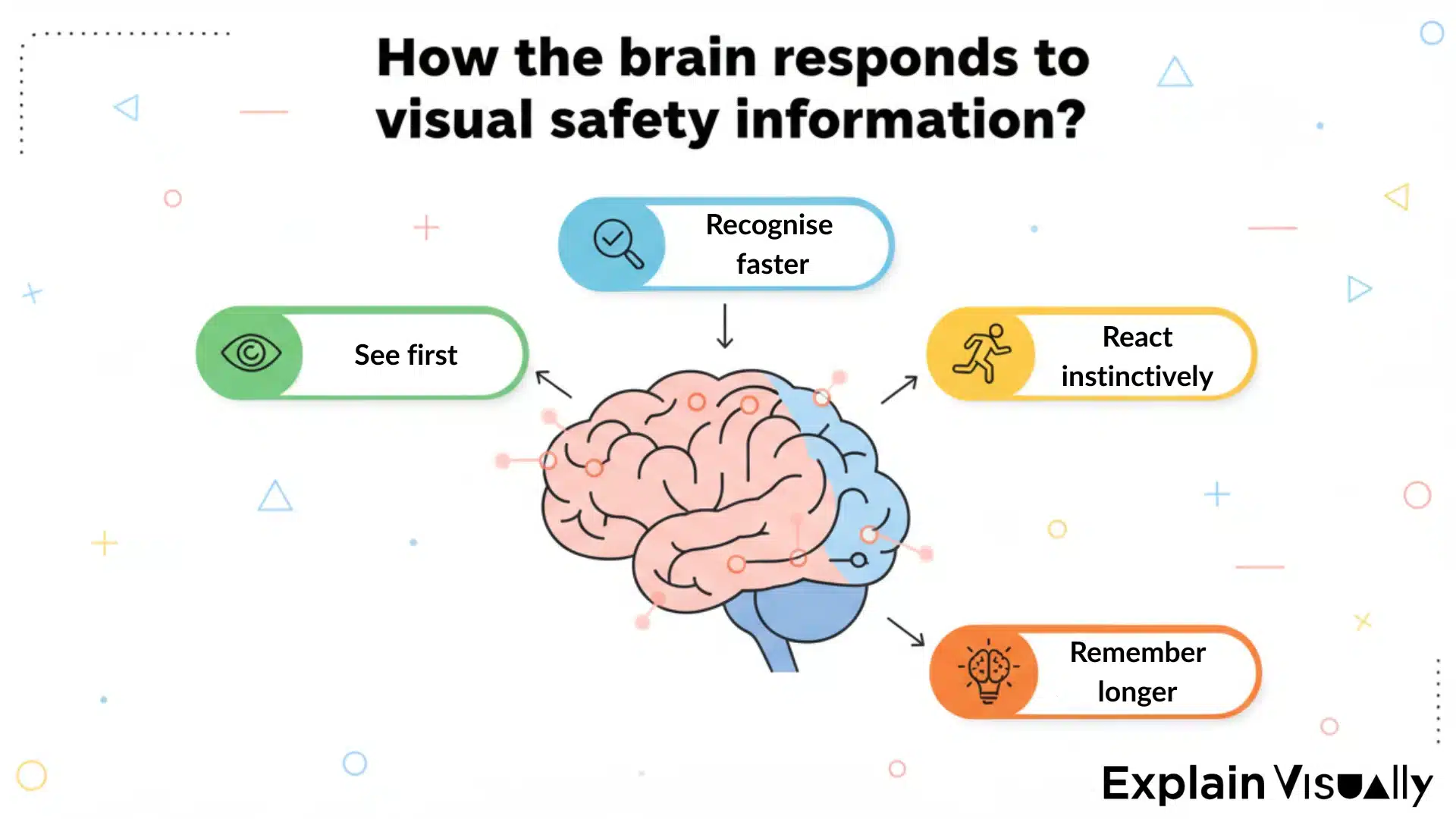 How the brain responds to visual safety information?