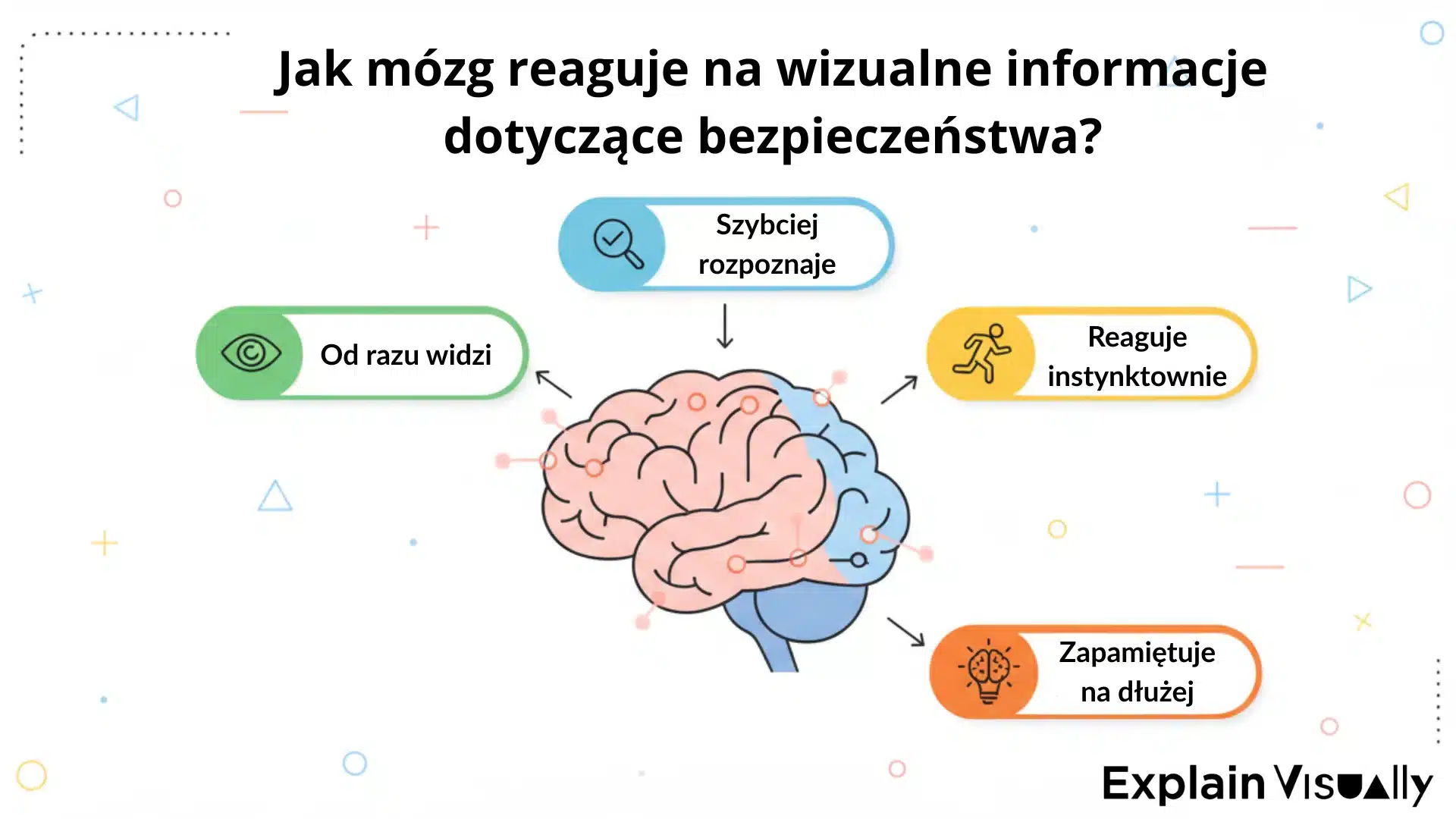 how-the-brain-responds-to-visual-safety-information-pl